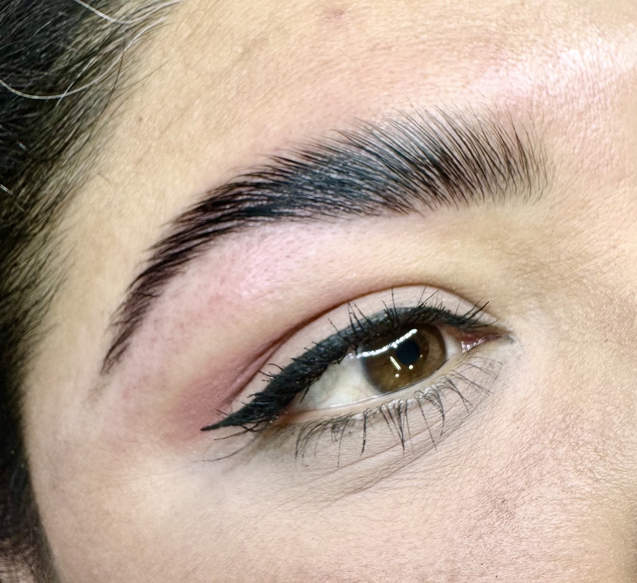 Brow Lamination at Dream Beauty Wellness Spa, Toronto