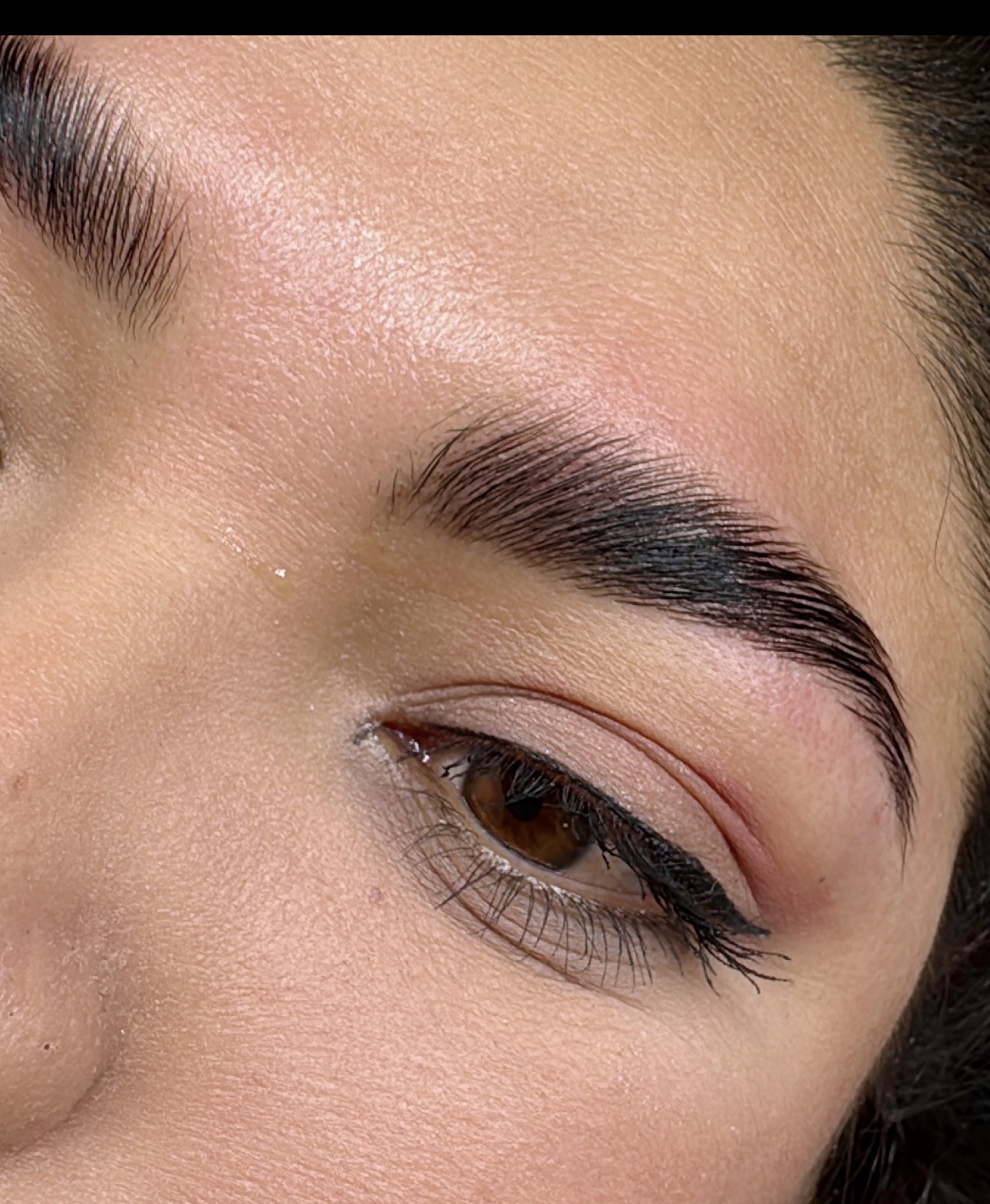 Brow Lamination at Dream Beauty Wellness Spa, Toronto