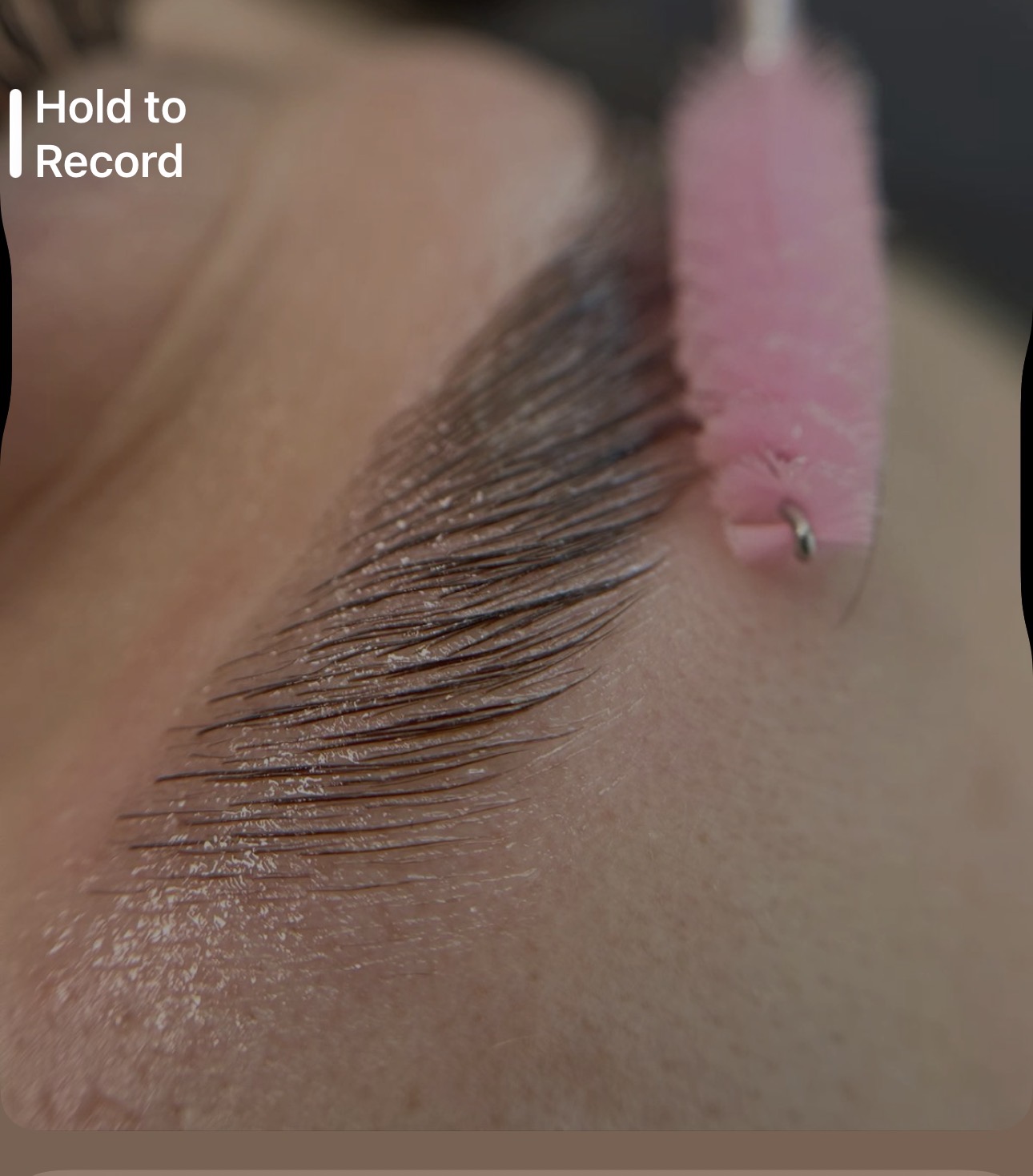 Brow Lamination at Dream Beauty Wellness Spa, Toronto