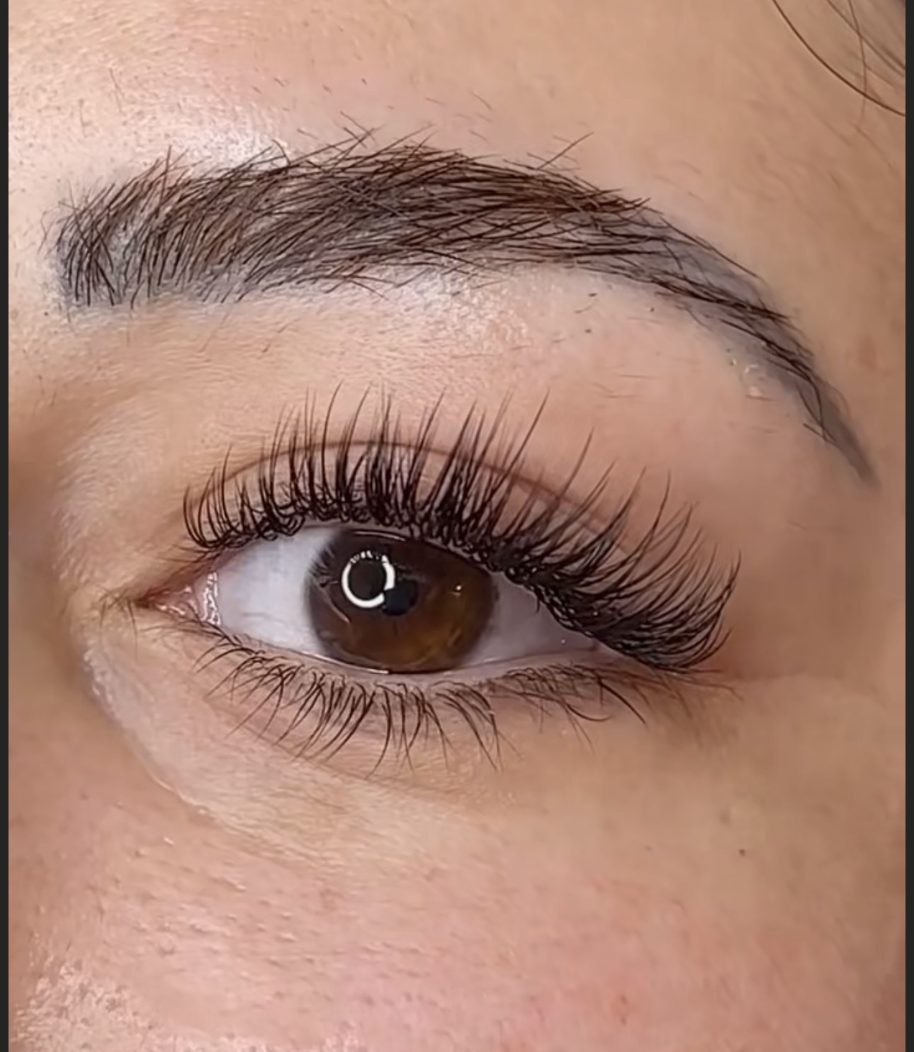 Free Brow Tint & Wax at Dream Beauty Wellness Spa, Toronto