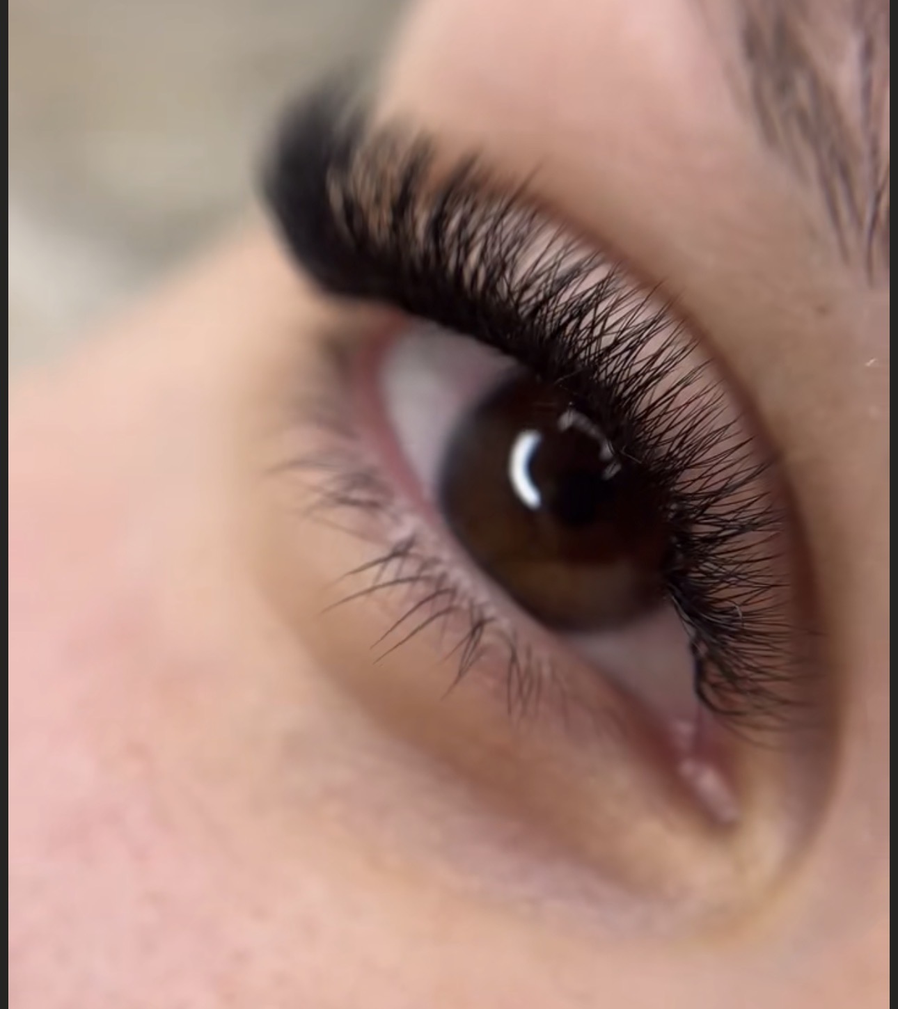 Eyelash Extensions at Dream Beauty Wellness Spa, Toronto
