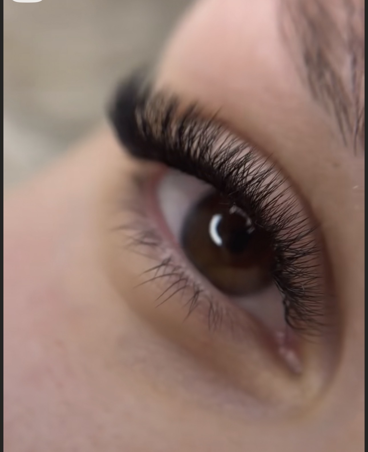 Eyelash Extensions at Dream Beauty Wellness Spa, Toronto