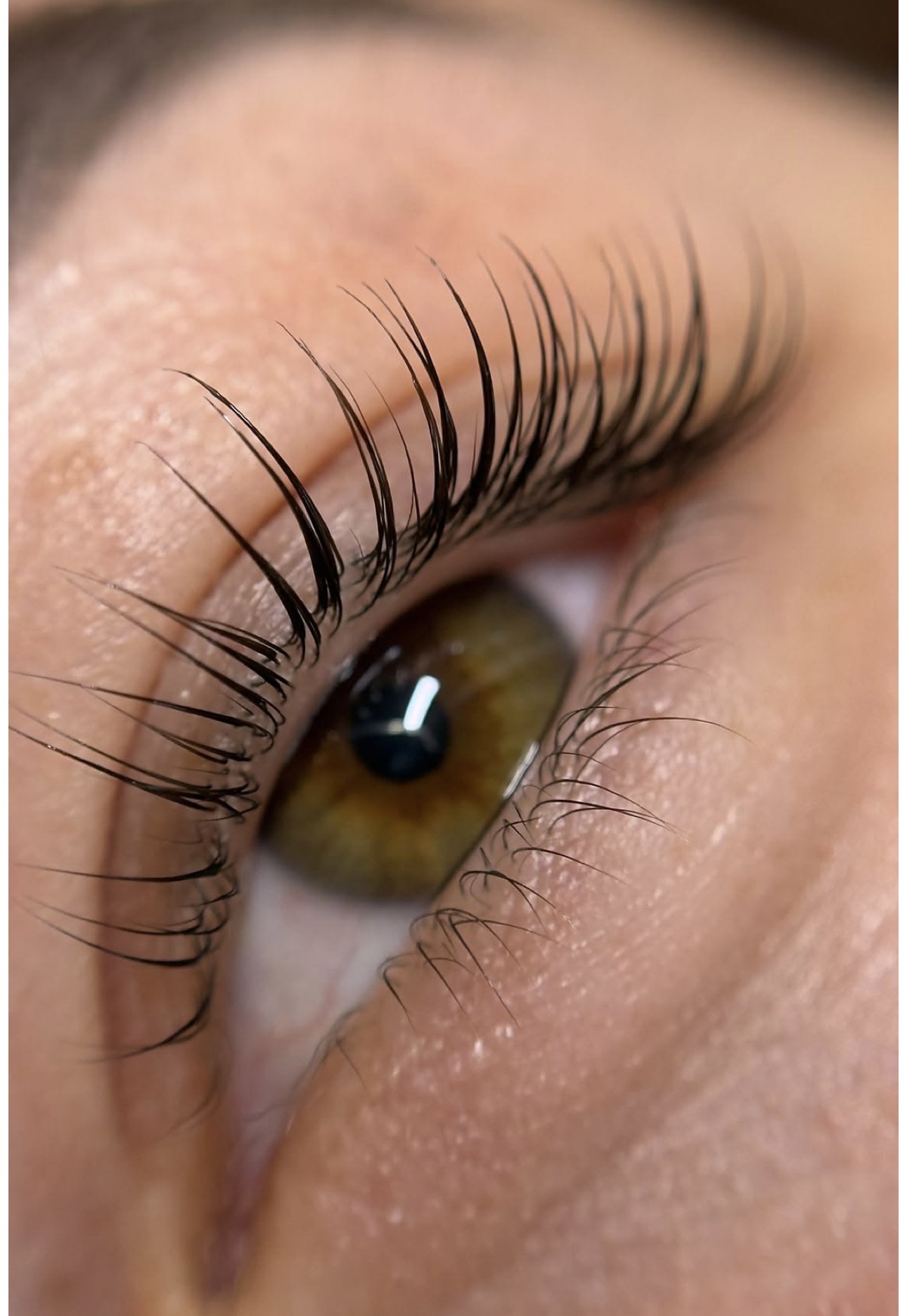 Lash Lift at Dream Beauty Wellness Spa, Toronto